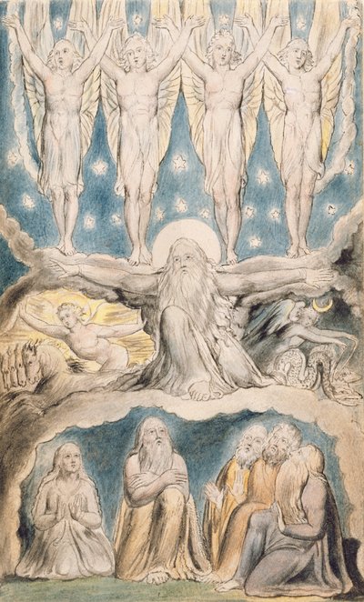 La Creazione, pagina 14 da 